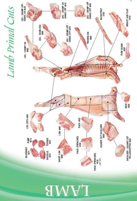 cuts of meat. for different cuts of meat